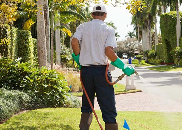 About Camino CA Pest Control